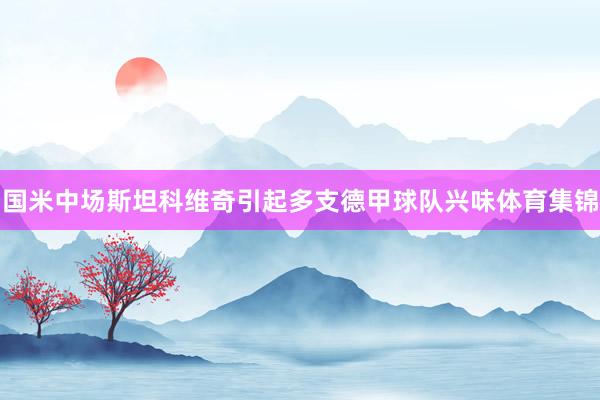 国米中场斯坦科维奇引起多支德甲球队兴味体育集锦