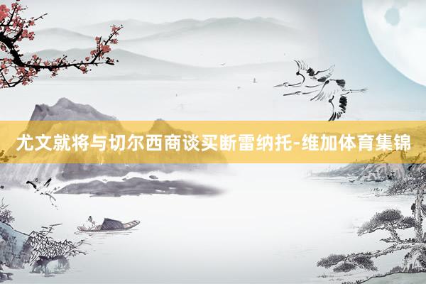 尤文就将与切尔西商谈买断雷纳托-维加体育集锦
