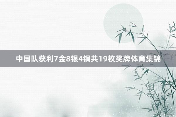 中国队获利7金8银4铜共19枚奖牌体育集锦