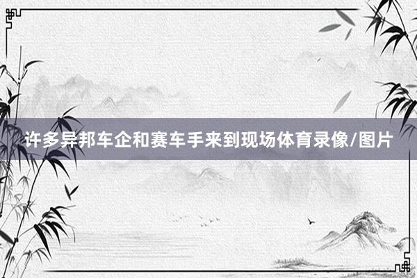 许多异邦车企和赛车手来到现场体育录像/图片