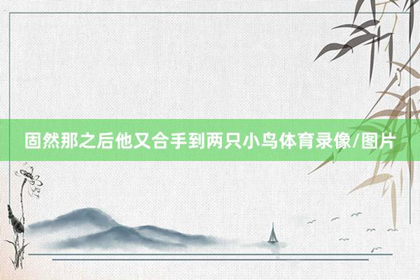 固然那之后他又合手到两只小鸟体育录像/图片