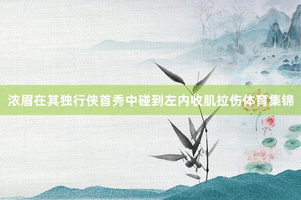 浓眉在其独行侠首秀中碰到左内收肌拉伤体育集锦