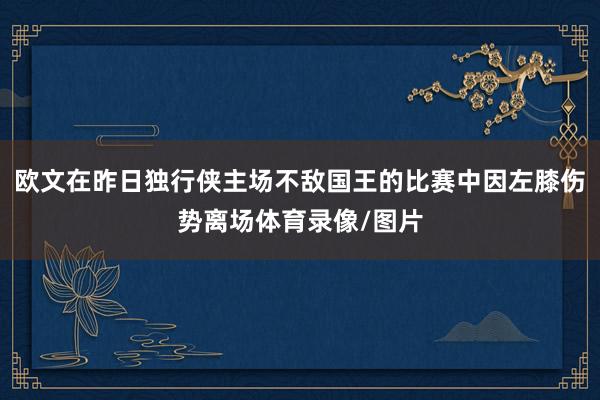 欧文在昨日独行侠主场不敌国王的比赛中因左膝伤势离场体育录像/图片